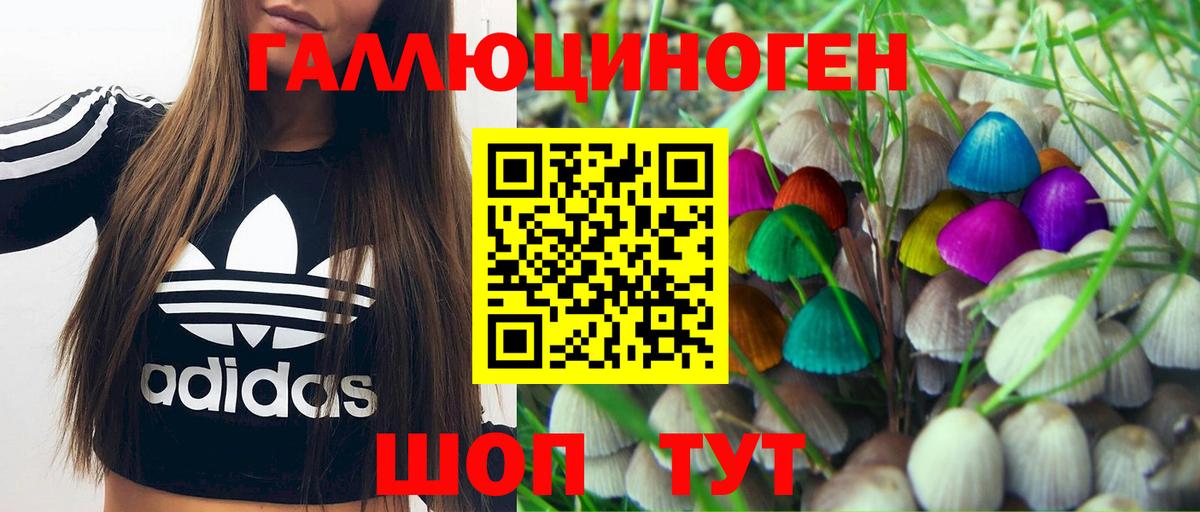 Псилоцибиновые грибы прущие грибы Изобильный