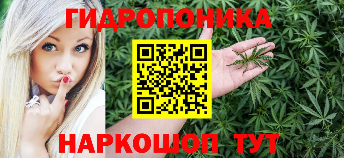 Бошки Шишки AK-47  Бошки Шишки White Widow  Изобильный  Вход с VPN  Бошки Шишки тримм  Канабис конопля 